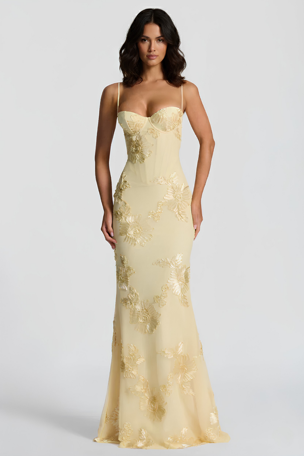 Robe Longue Bustier Vienne